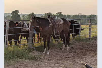 W6800 County Road D, Oxford, WI 53952 - Photo 87