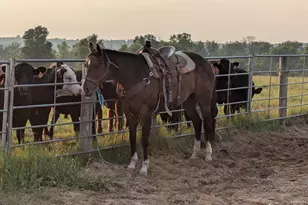 W6800 County Rd D, Oxford, WI 53952 - Photo 87