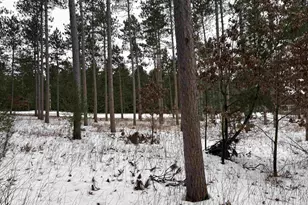 W4362 W County Road A Rd, Pine River, WI 54965 - Photo 13