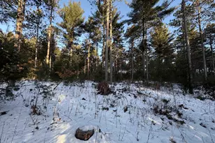 W4362 W County Road A Rd, Pine River, WI 54965 - Photo 11