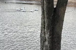 N3789 Tipperary Rd, Poynette, WI 53955 - Photo 67