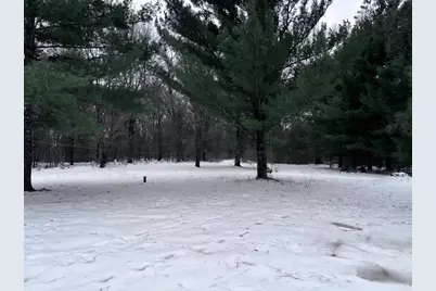 915 Fur Avenue, Wisconsin Dells, WI 53965 - Photo 3