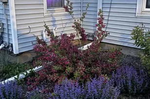 204 Linden St, Fort Atkinson, WI 53538 - Photo 27