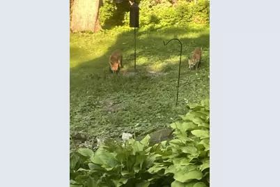 202 Shepard Terrace, Madison, WI 53705 - Photo 47