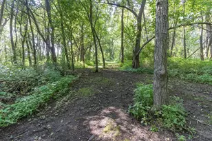 N7012 County Rd J Rd, Monticello, WI 53570 - Photo 75