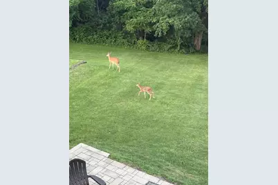 N7012 County Rd J Road, Monticello, WI 53570 - Photo 57