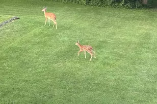 N7012 County Rd J Rd, Monticello, WI 53570 - Photo 57