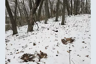 41498 S Sleepy Hollow Road, Gays Mills, WI 54631 - Photo 53