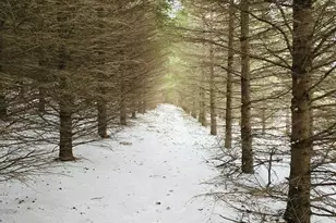 41498 S Sleepy Hollow Rd, Gays Mills, WI 54631 - Photo 49