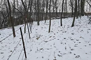 41498 S Sleepy Hollow Rd, Gays Mills, WI 54631 - Photo 57