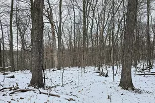 41498 S Sleepy Hollow Rd, Gays Mills, WI 54631 - Photo 57