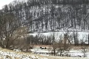 41498 S Sleepy Hollow Rd, Gays Mills, WI 54631 - Photo 59