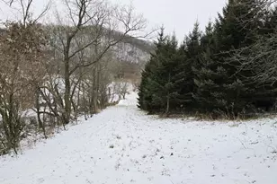 41498 S Sleepy Hollow Rd, Gays Mills, WI 54631 - Photo 55