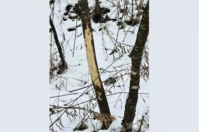 41498 S Sleepy Hollow Road, Gays Mills, WI 54631 - Photo 53