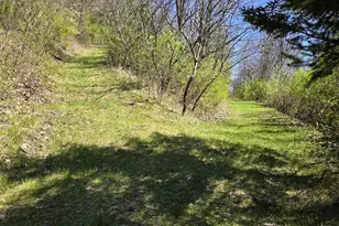 41498 S Sleepy Hollow Rd, Gays Mills, WI 54631 - Photo 47