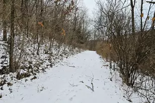 41498 S Sleepy Hollow Rd, Gays Mills, WI 54631 - Photo 49