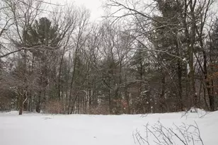 N296 4th Ave, Coloma, WI 54930 - Photo 45