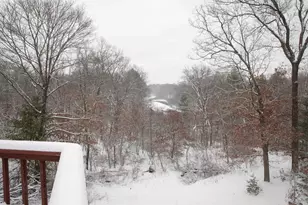 N296 4th Ave, Coloma, WI 54930 - Photo 49