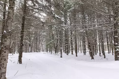 N1545 4th Avenue, Coloma, WI 54930 - Photo 59