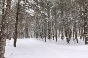 N1545 4th Ave, Coloma, WI 54930 - Photo 59