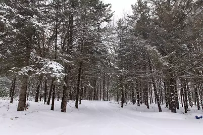 N1545 4th Avenue, Coloma, WI 54930 - Photo 85