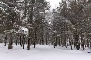 N1545 4th Ave, Coloma, WI 54930 - Photo 85