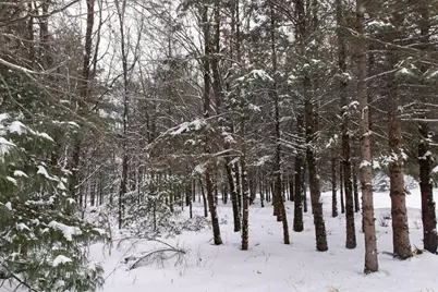 N1545 4th Avenue, Coloma, WI 54930 - Photo 83