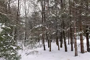 N1545 4th Ave, Coloma, WI 54930 - Photo 83