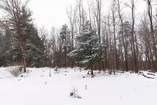 N1545 4th Ave, Coloma, WI 54930 - Photo 81