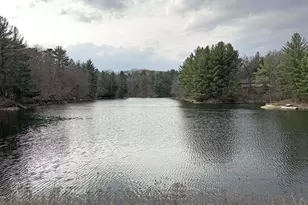 N4854 Eagle Nest Dr, Elroy, WI 53929 - Photo 49