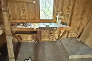 N4854 Eagle Nest Dr, Elroy, WI 53929 - Photo 37