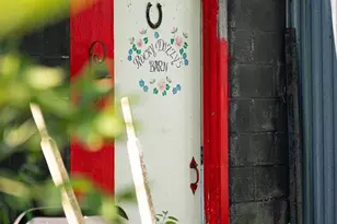 S3141 Natwick Rd, Viroqua, WI 54665 - Photo 17