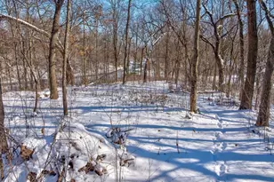 5601 Dahmen Dr, Waunakee, WI 53597 - Photo 79