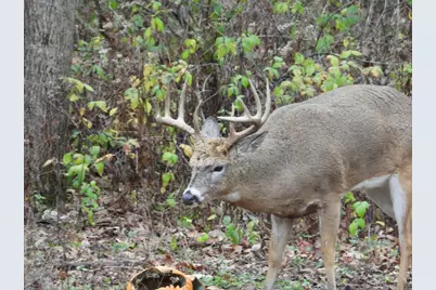 1331 County Road D, Oregon, WI 53575 - Photo 83