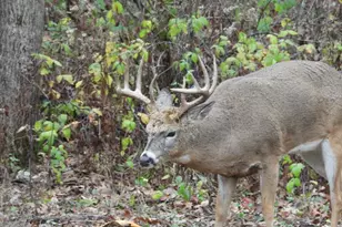 1331 County Road D, Oregon, WI 53575 - Photo 83