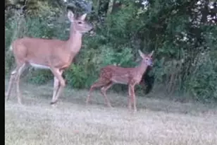 1331 County Road D, Oregon, WI 53575 - Photo 85