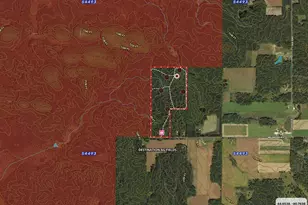 W9110 Wildwood Rd, Willard, WI 54493 - Photo 47