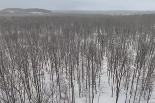 W9110 Wildwood Rd, Willard, WI 54493 - Photo 39