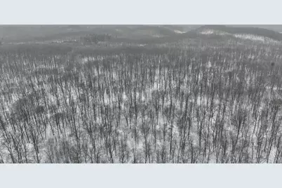 W9110 Wildwood Road, Willard, WI 54493 - Photo 35