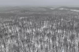 W9110 Wildwood Rd, Willard, WI 54493 - Photo 35