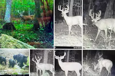 W9110 Wildwood Road, Willard, WI 54493 - Photo 37