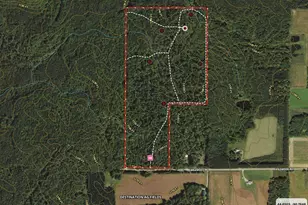 W9110 Wildwood Rd, Willard, WI 54493 - Photo 45