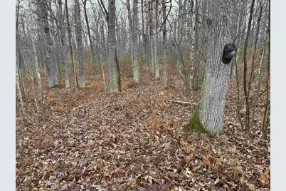 W9110 Wildwood Road, Willard, WI 54493 - Photo 43