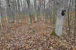 W9110 Wildwood Rd, Willard, WI 54493 - Photo 43