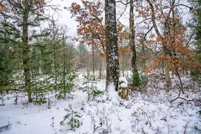 N9358 7th Avenue, Necedah, WI 54646 - Photo 65