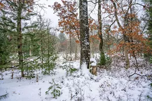 N9358 7th Ave, Necedah, WI 54646 - Photo 65