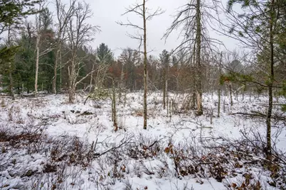 N9358 7th Avenue, Necedah, WI 54646 - Photo 63