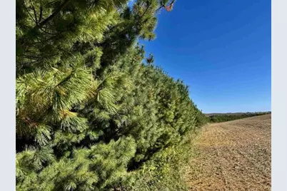 41.80 Acres County Road O, Mineral Point, WI 53565 - Photo 9