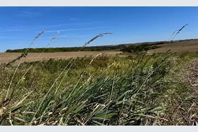 41.80 Acres County Road O, Mineral Point, WI 53565 - Photo 7
