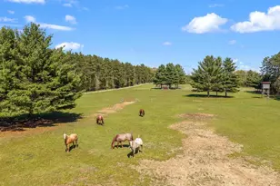 W2470 Co Rd B, Montello, WI 53949 - Photo 89